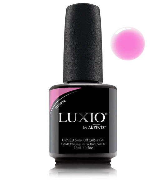 LUXIO BLOSSOM