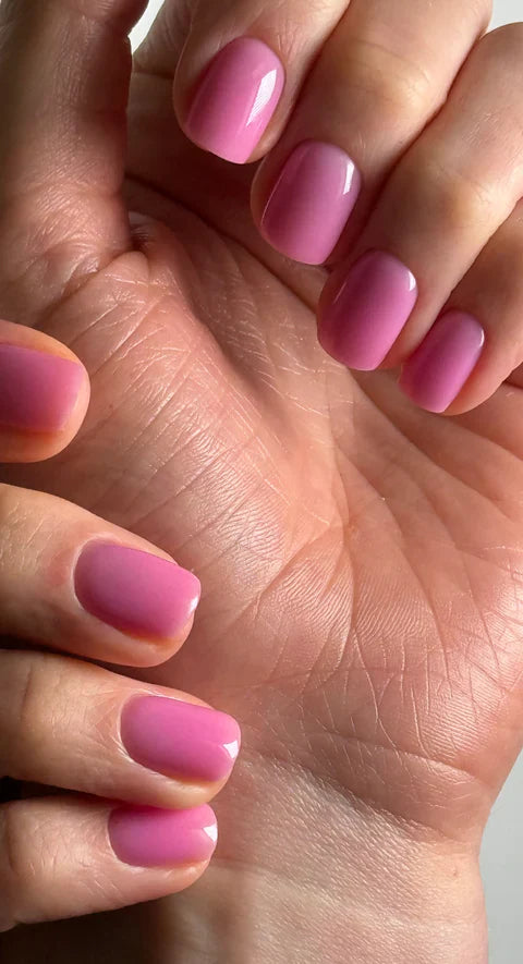 LUXIO BLOSSOM