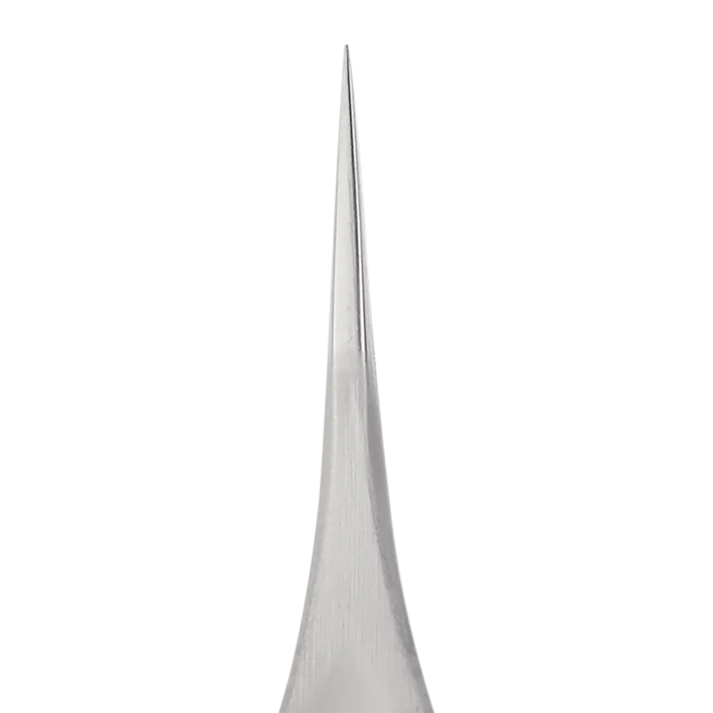 Staleks- Pro PODO 10 Podology Splinter Tweezers TP-10
