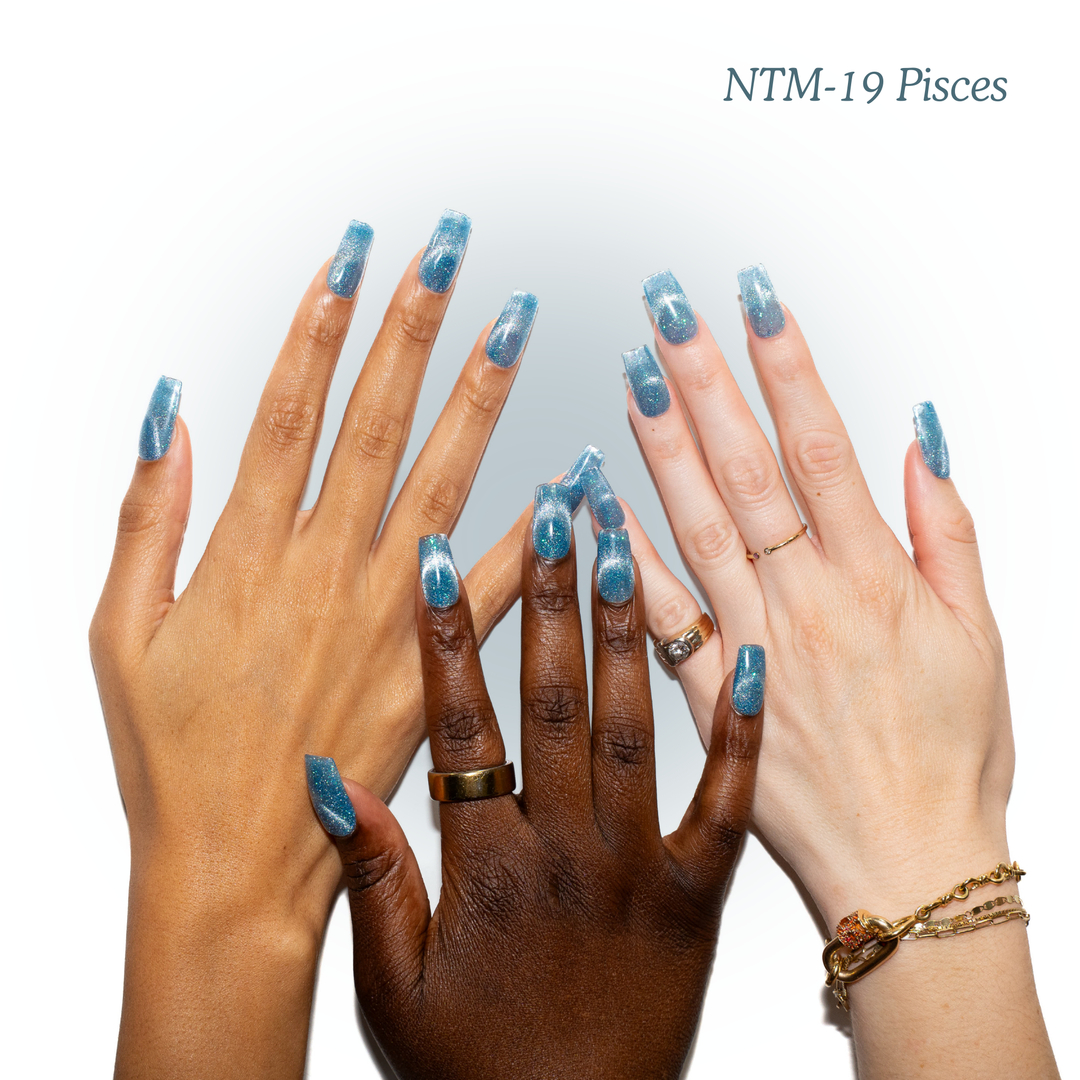 NTM-19 Pisces