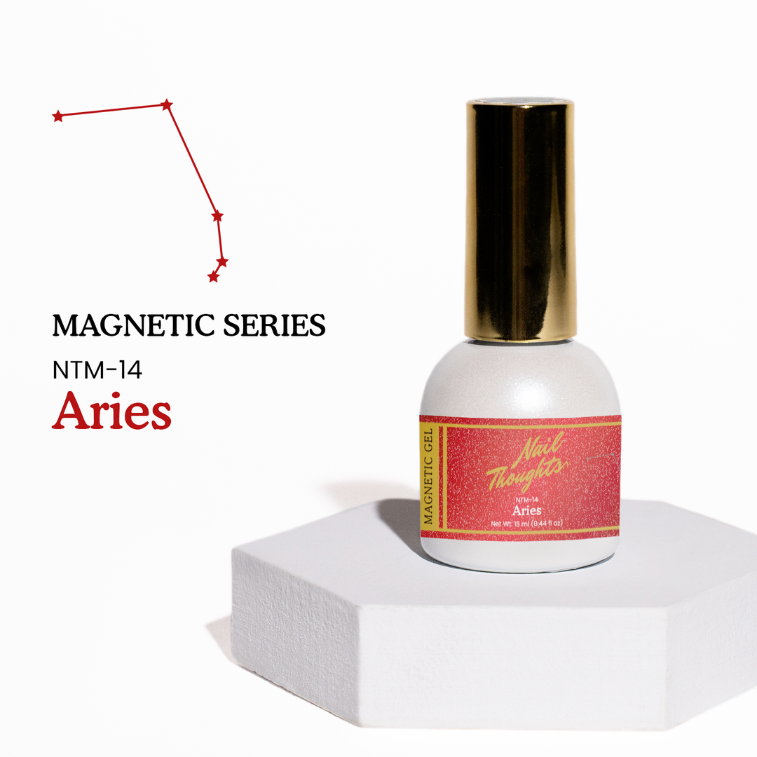 NTM-14 Aries